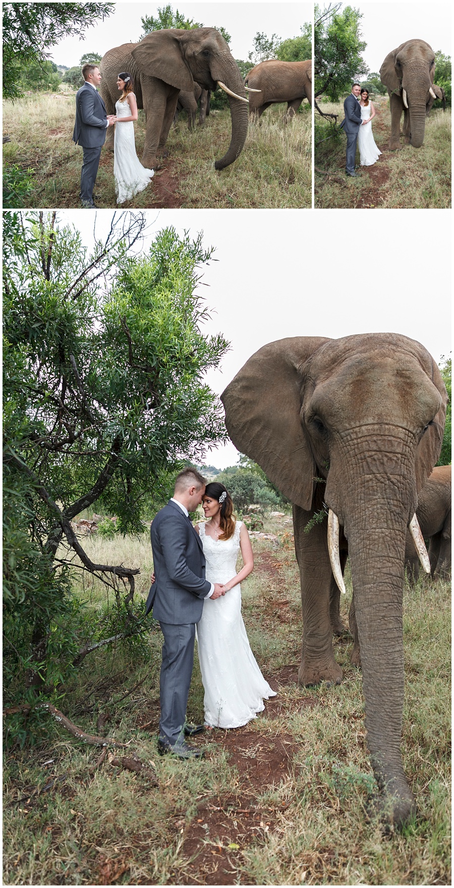 Angie-Duncan-Wedding-Glen-Afric-Bravo-Photography_0034